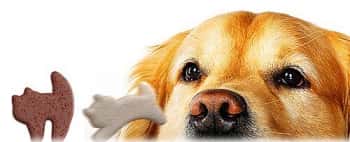 зоомагазин dog100, сухой корм для собак