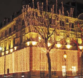 Световой занавес, гирлянды на деревья