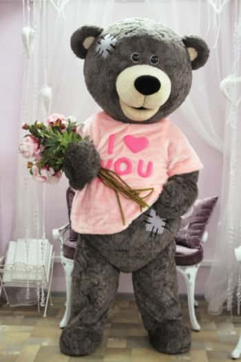 Плюшевый мишка Тедди на праздник