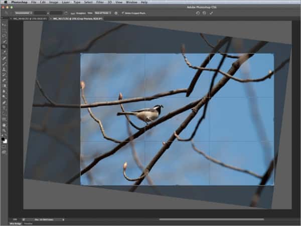 обрезка фото в photoshop обрезка фото в photoshop