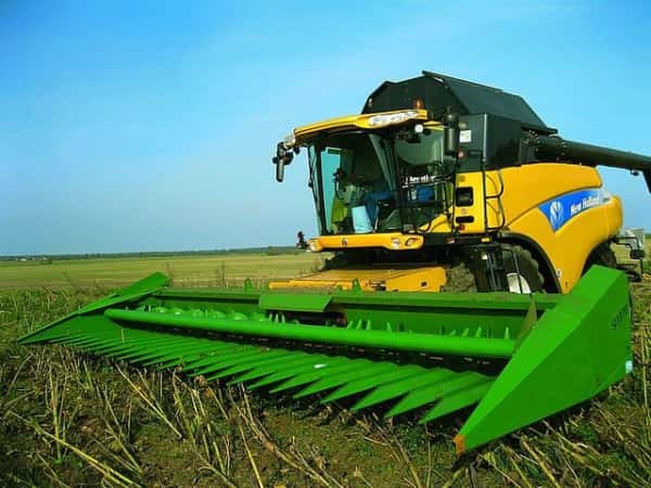 жатка для подсолнечника