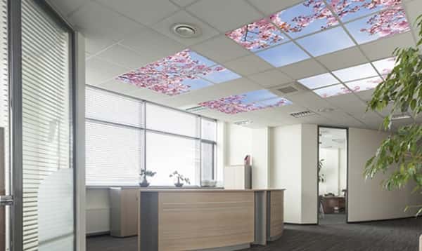 разбираемся в разнообразии видов подвесных потолочных систем